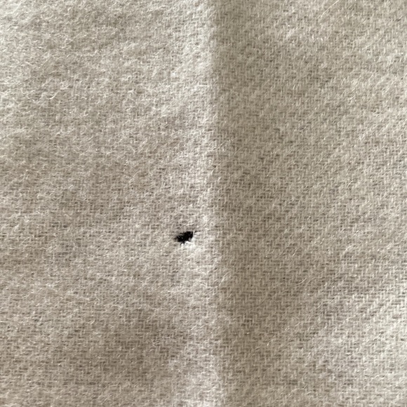 Coach scarf - Picture 2 of 2